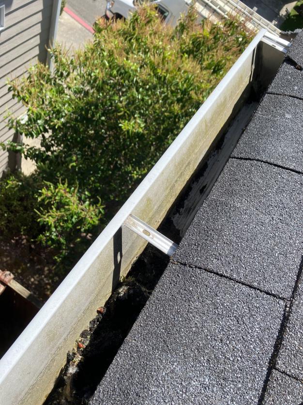Mukilteo gutter cleaning (1)