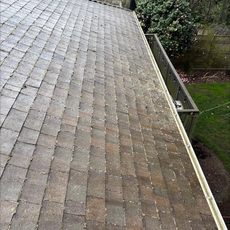 roof cleaning North Creek area roof with heavy debris present
