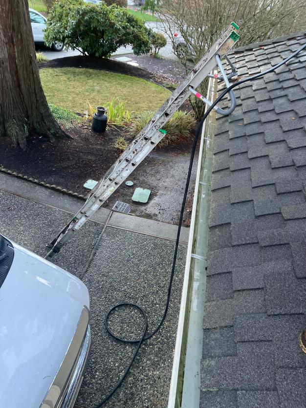 Novelty Hill Roof Cleaning (1)