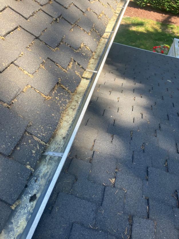 Gutter cleaning in Overlake neighborhood