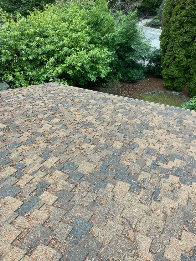 Overlake roof cleaning (1)