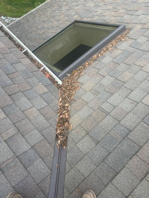 Roof cleaning Overlake neighborhood