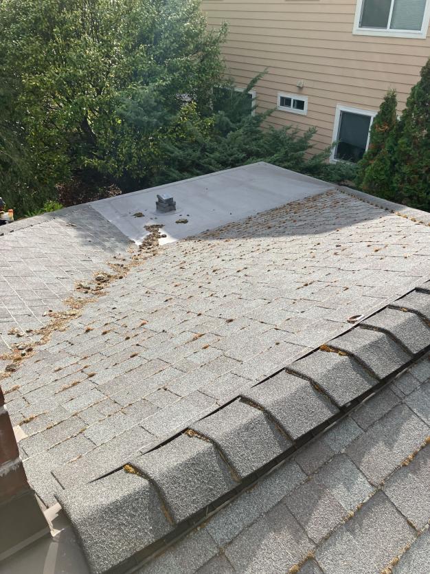 Pine Lake roof cleaning (1)