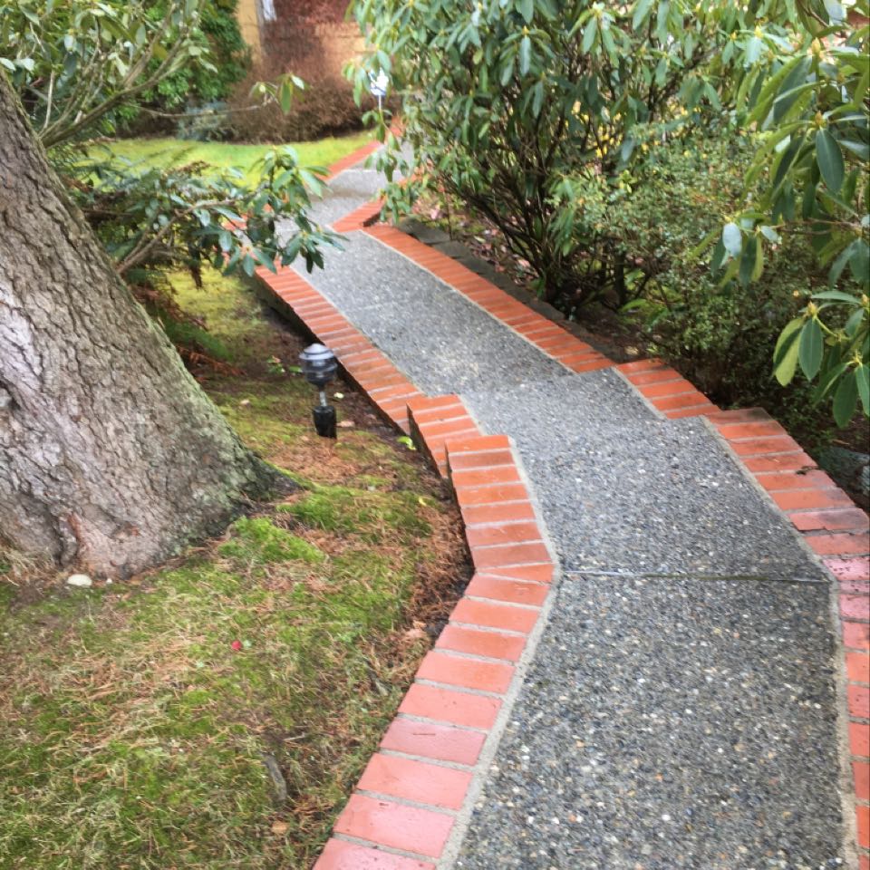 Pressure Washing Sammamish