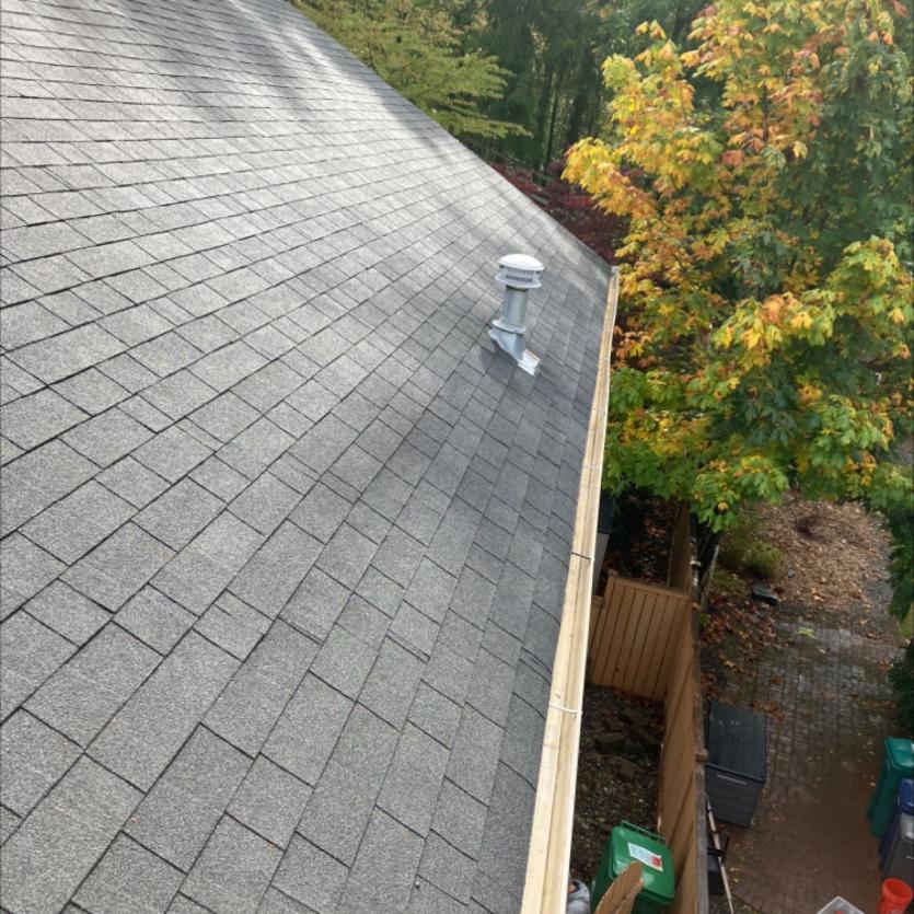 After Redmond, WA roof cleaning service
