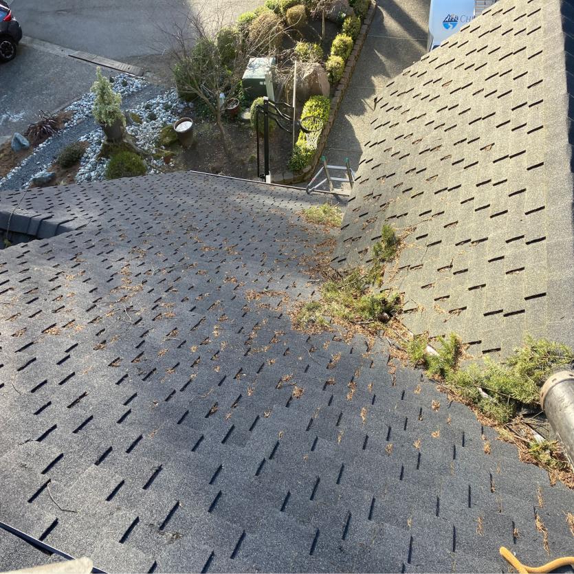 Redmond roof cleaning company Chinook Services