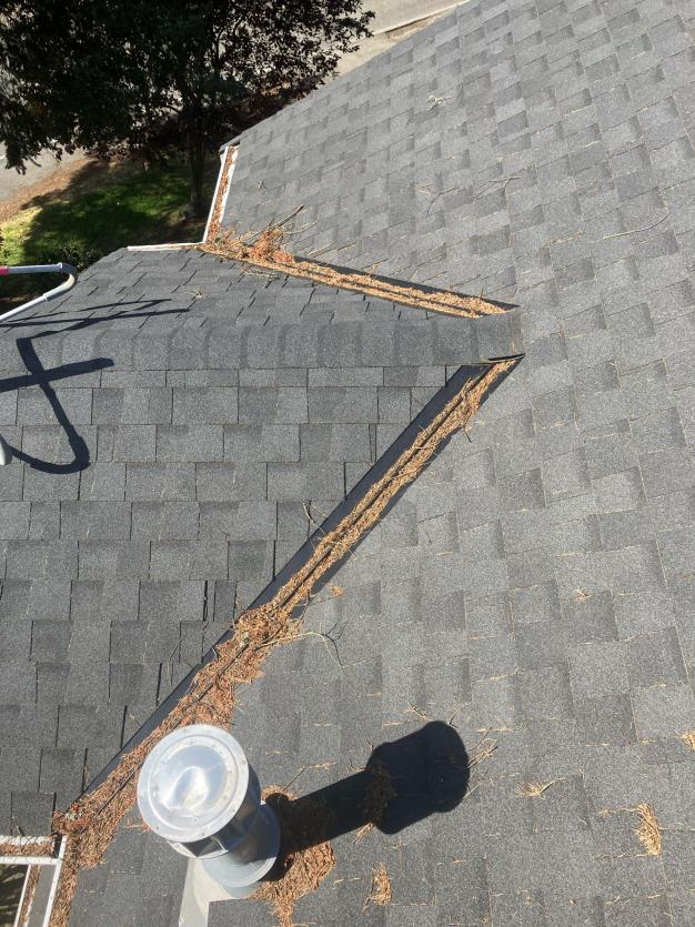 Chinook Services roof cleaning Ballard.