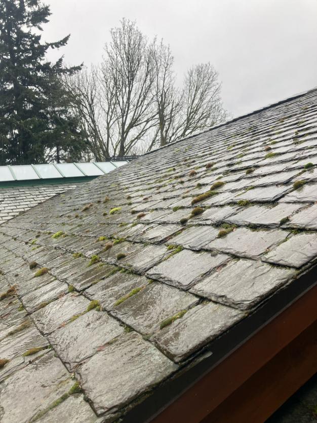 Roof cleaning Ballard moss soft wash.