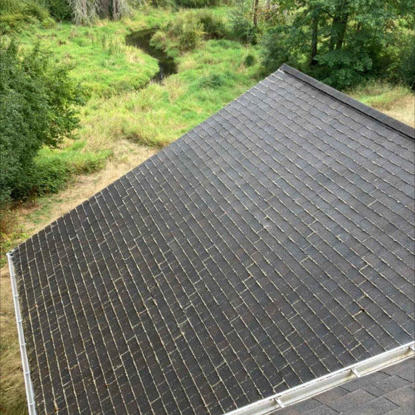 Large roof after roof cleaning services provided by Chinook Services in Bothell, WA