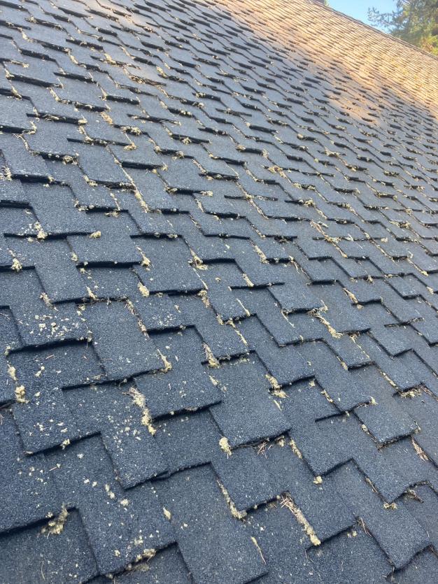 Roof cleaning moss soft wash Alki Beach roof shingles upclose