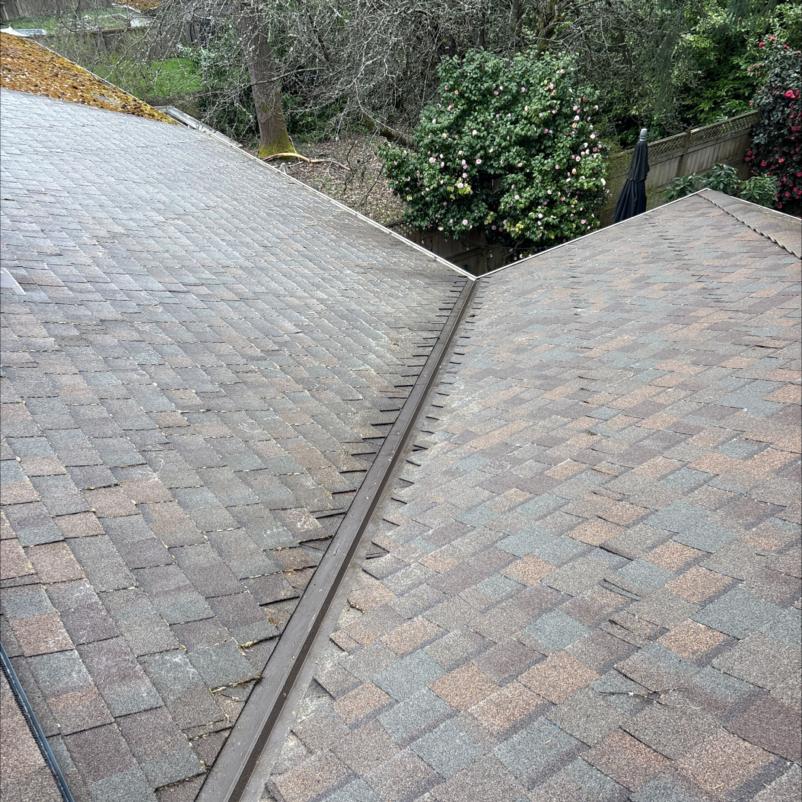 Roof shingles and valley after roof cleaning service in Bothell