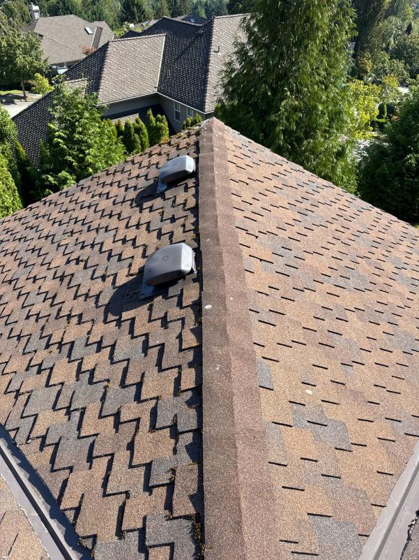 On the top of a Snohomish roof after cleaning services