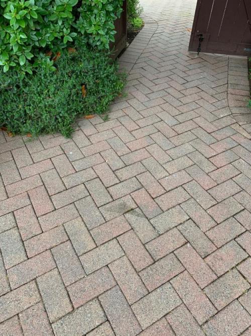 Sahalee Pressure Washing (1)