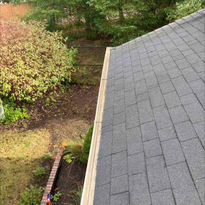 Sahalee roof cleaning service and moss removal