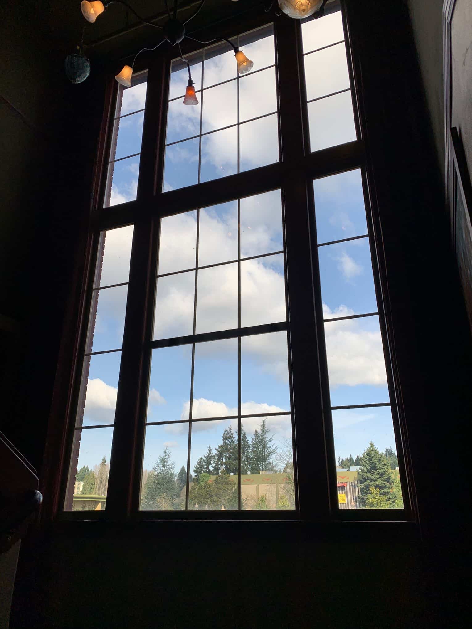 Sammamish window cleaning (1)
