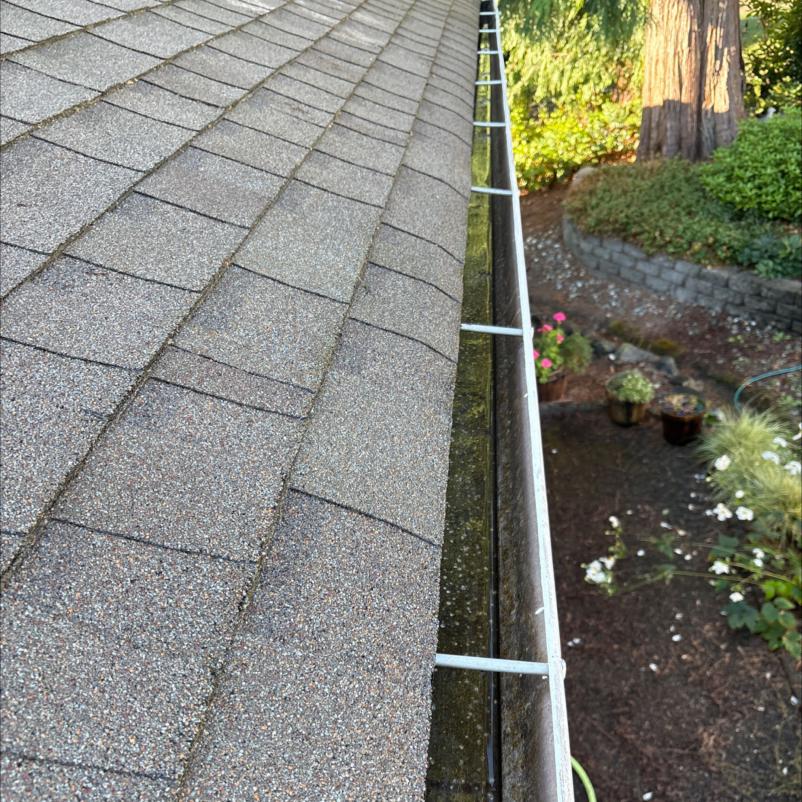 After image of gutter cleaning in Smokey Point