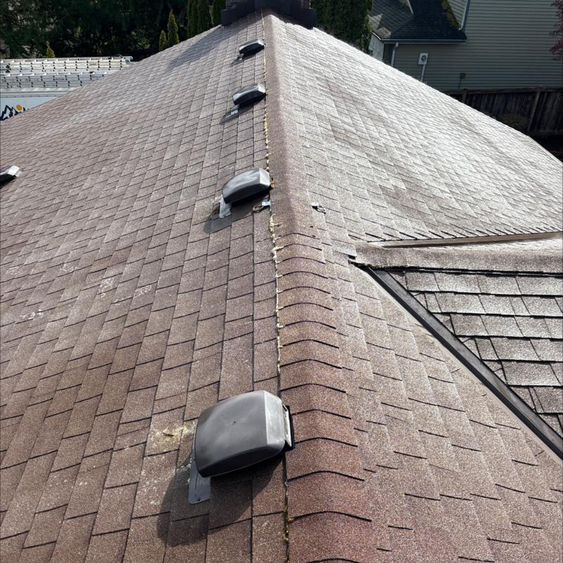 Cleaning a roof in Smokey Point after roof blow and soft wash moss service
