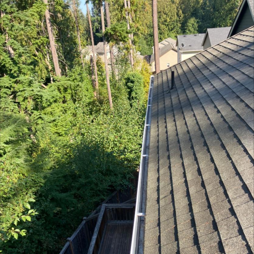 Snohomish gutter cleaning (1)