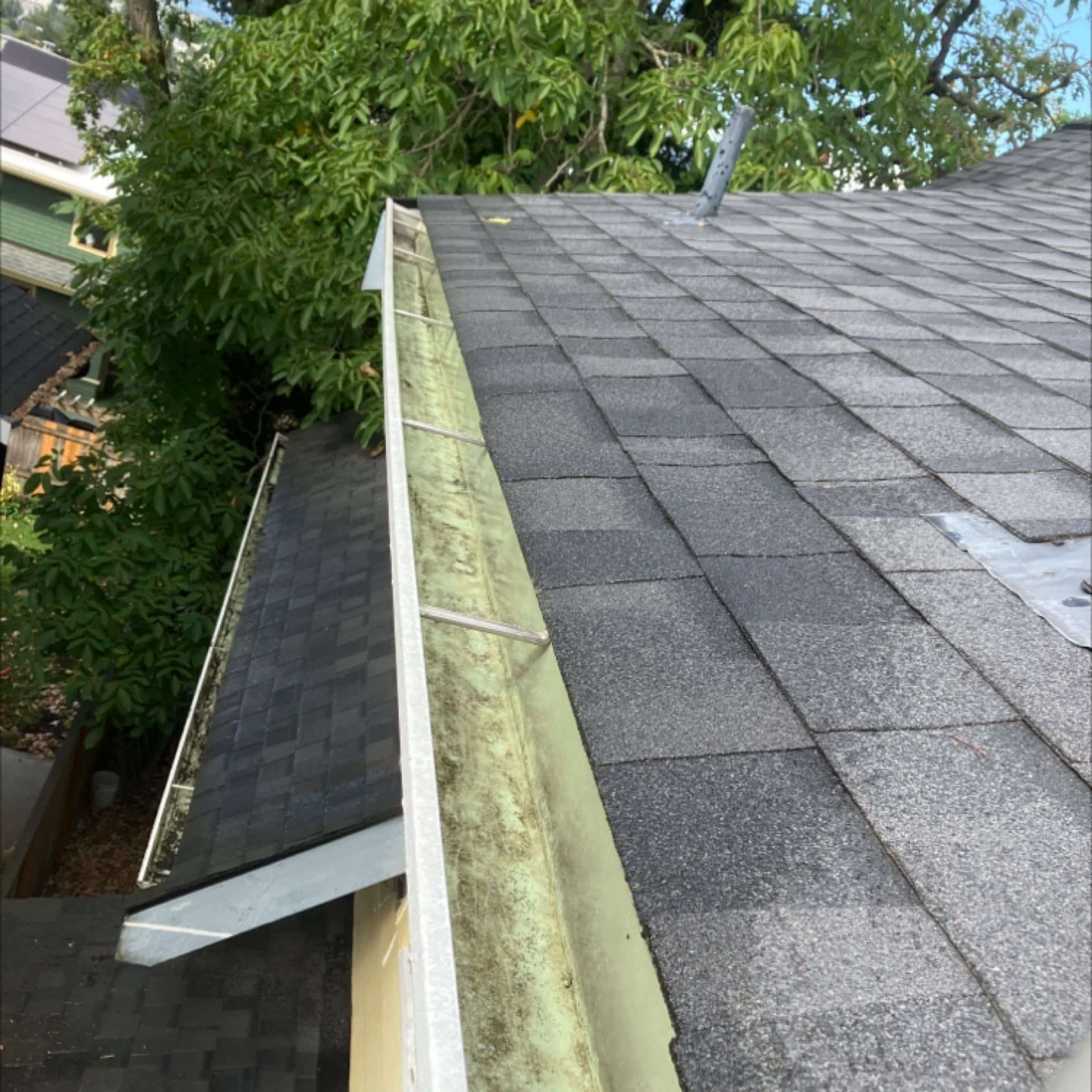 Stanwood gutter cleaning (1)
