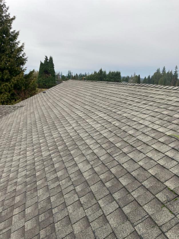 Roof shingle cleaning Sultan, WA