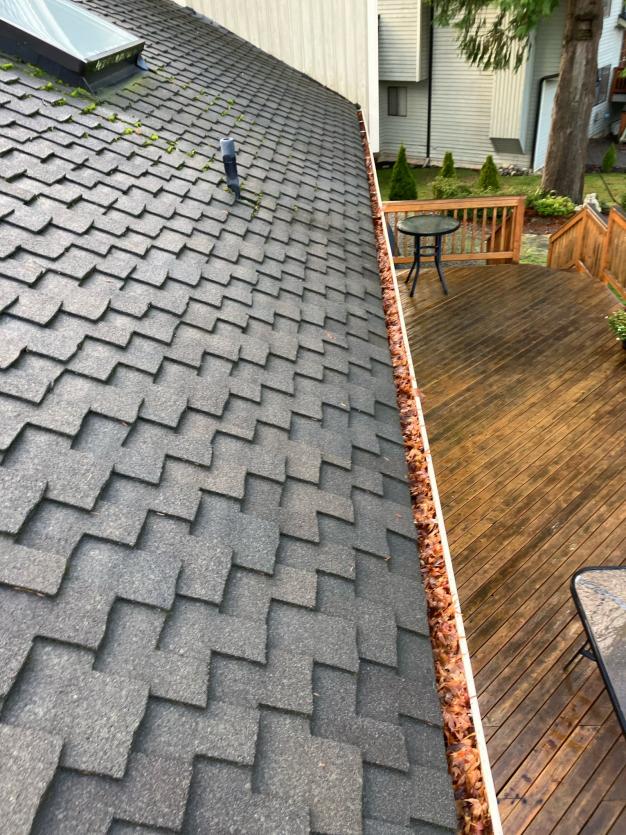 Gutter full of debris before gutter cleaning in Tulalip
