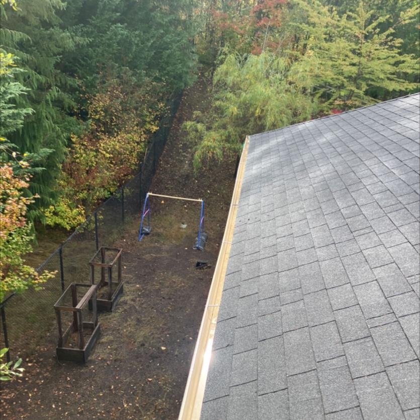 Union Hill roof cleaning (1)