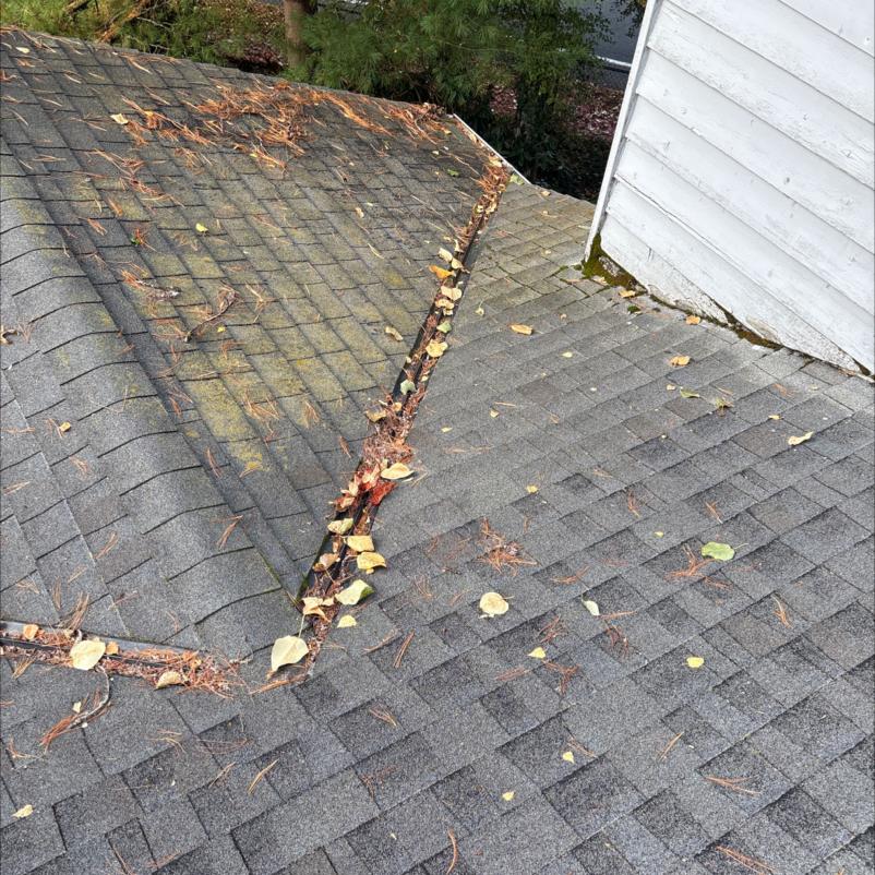 Roof cleaning Union Hill community