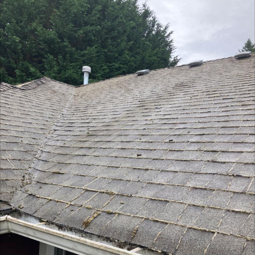 Woodridge roof cleaning (1)