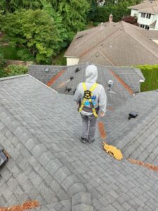 Exterior cleaning Greater Seattle, Everett, and Belllevue 