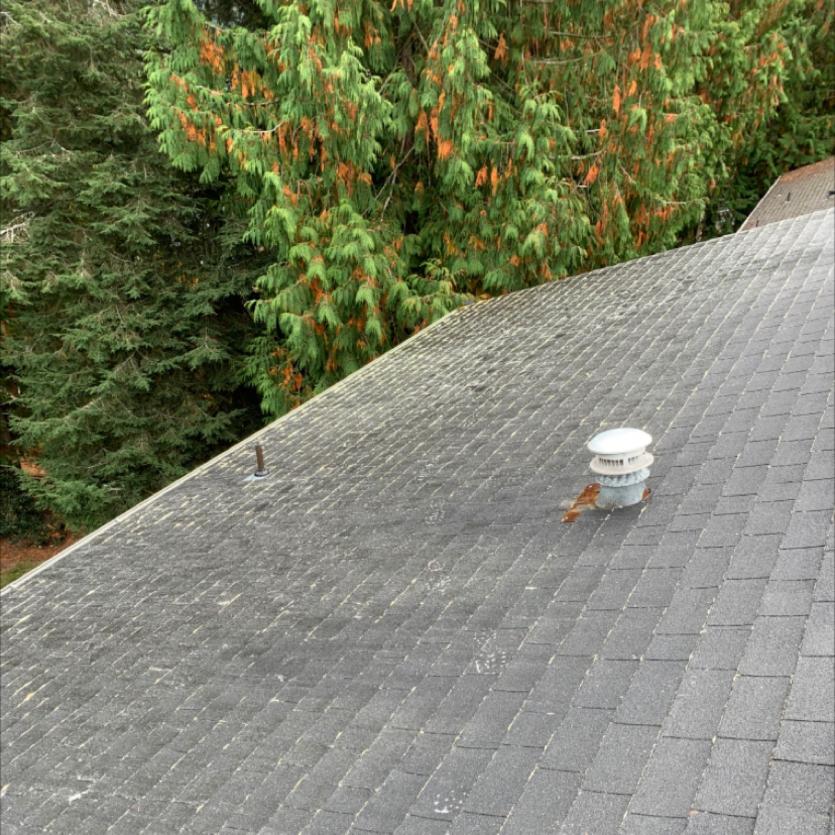 Actual job before image of roof and moss cleaning in Kirkland, WA