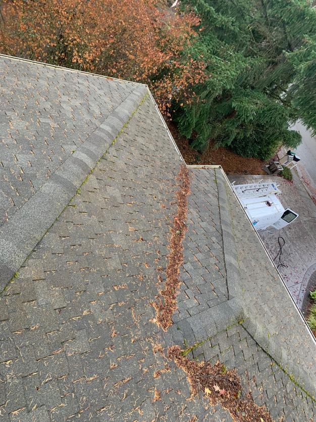 During a roof cleaning service in Inglewood, a Chinook Services worker captures a image before service from rooftop.