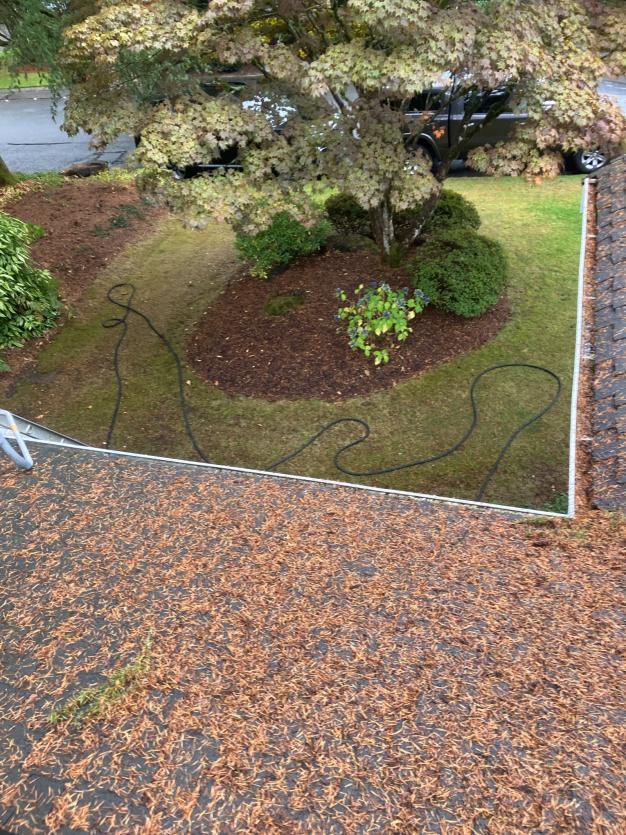 Roof cleaning service Sammamish, WA