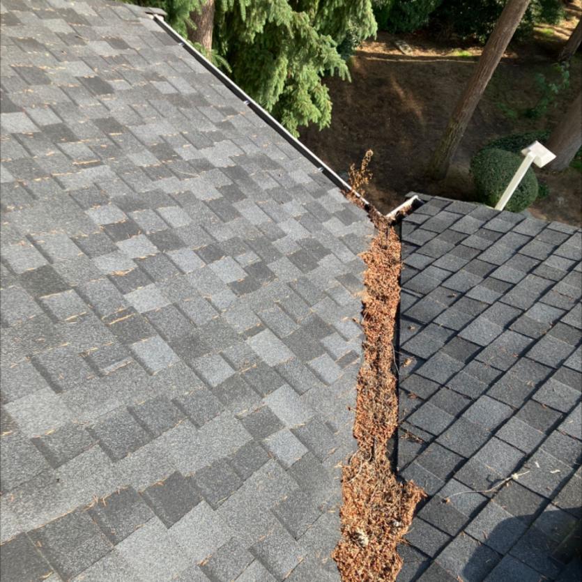 Debris removed from Martha Lake home before roof cleaning services