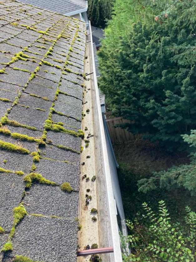 Gutter with debris before cleaning in Snohomish, WA