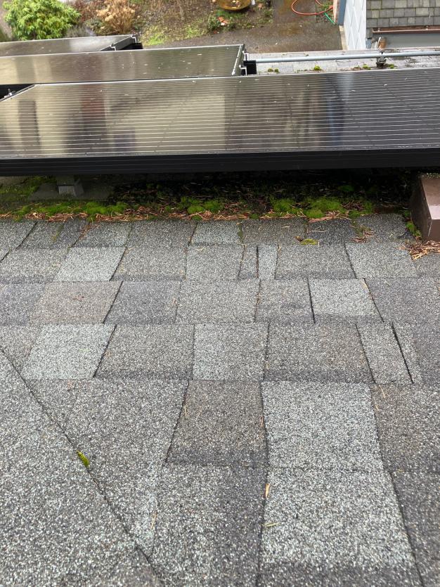 Roof shingles before cleaning in Ames Lake