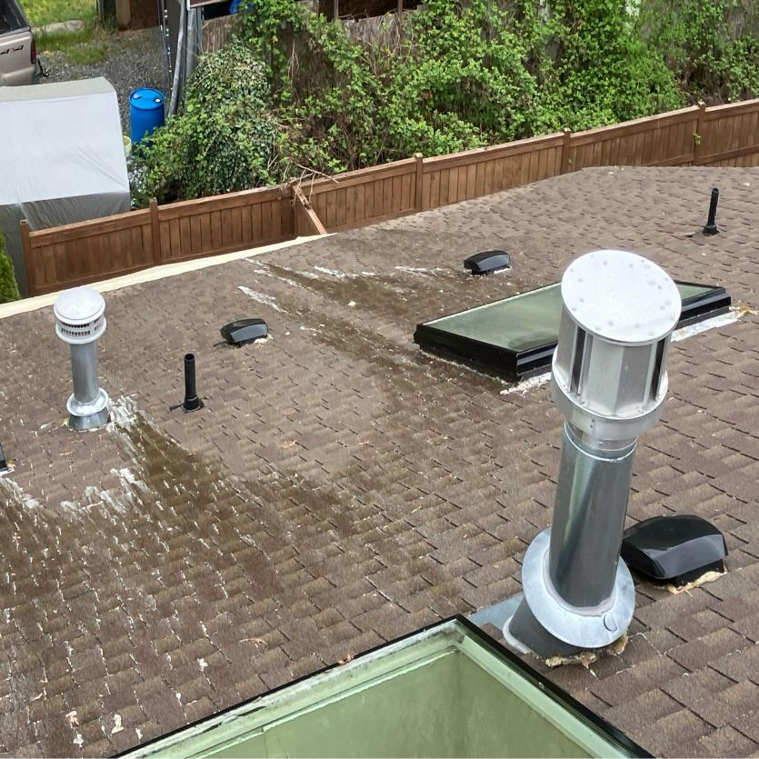Roof cleaning with soft wash moss removal Kirkland, WA