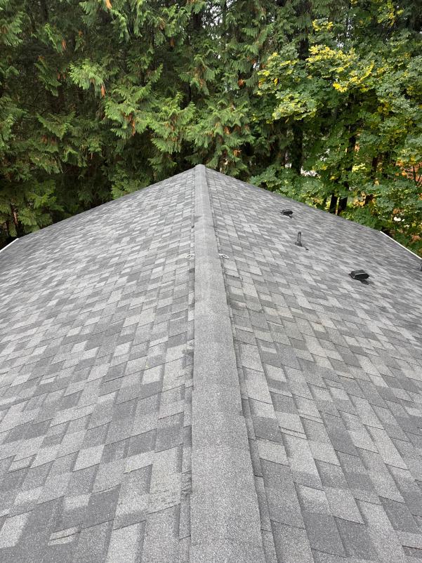 After roof cleaning soft wash moss services Everett, WA