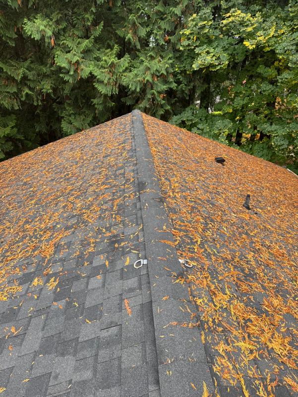 Before roof cleaning Everett