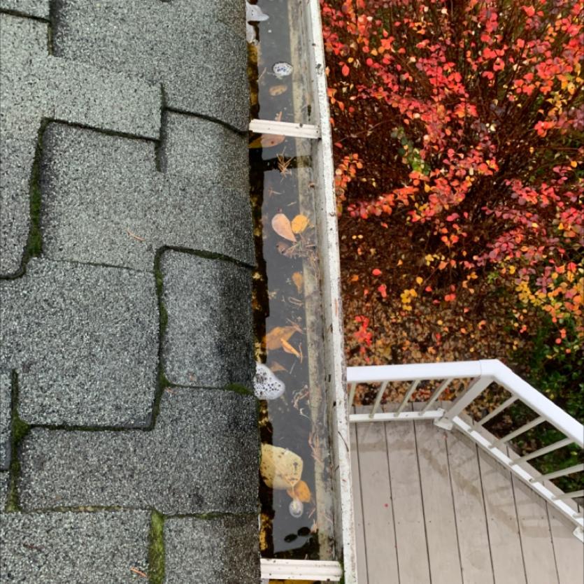 Gutters clogged and cleaned Capitol Hill.