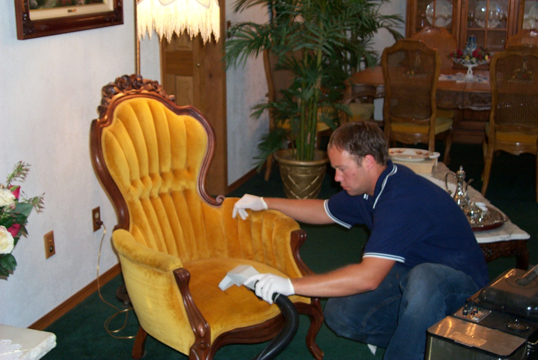 Cleaning carpet and upholster Alderwood