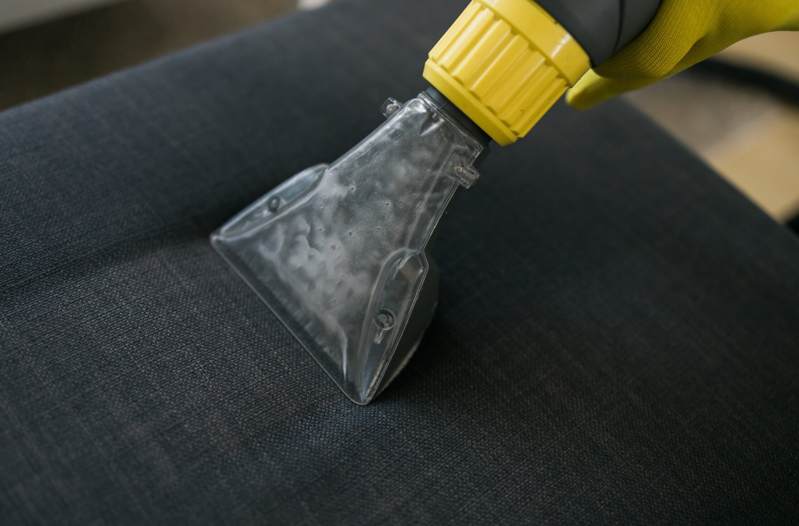 Cleaning carpet pet stain Edmonds, WA