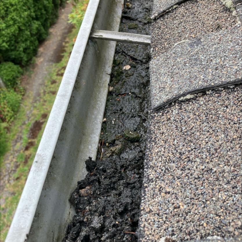 Gutter cleaning Eastlake neighborhood.