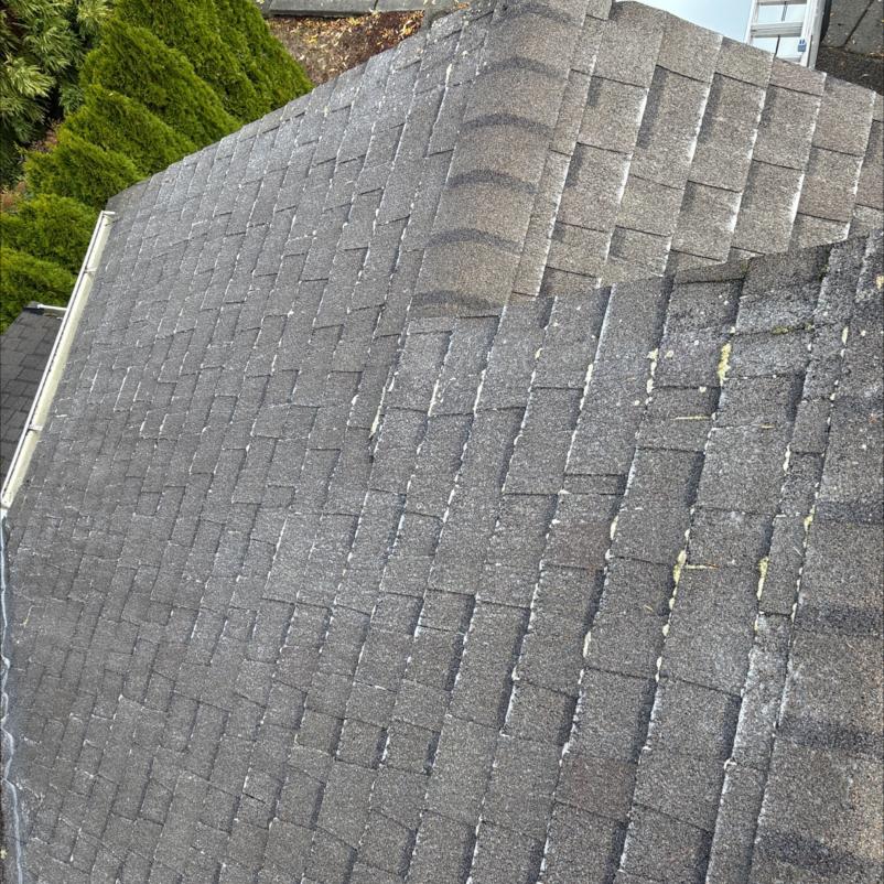 Roof cleaning moss Eastlake neighborhood of Seattle.