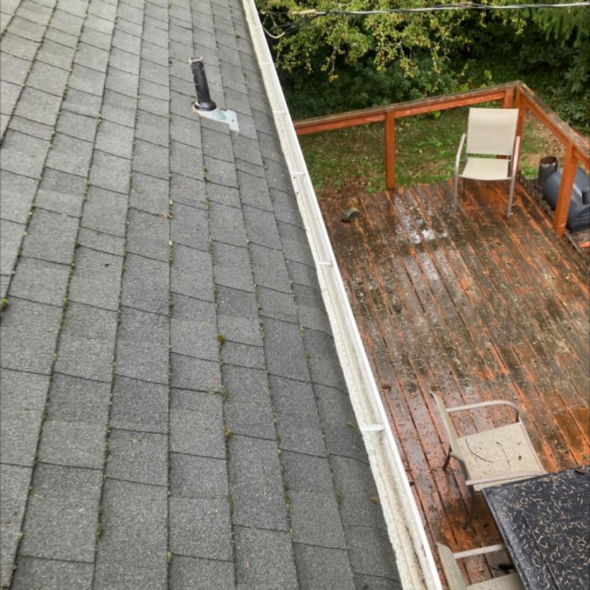 Gutter cleaning in Fremont neighborhood