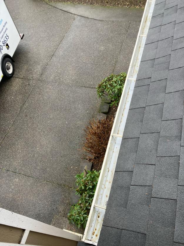 Gutter cleaning company Green Lake neighborhood.