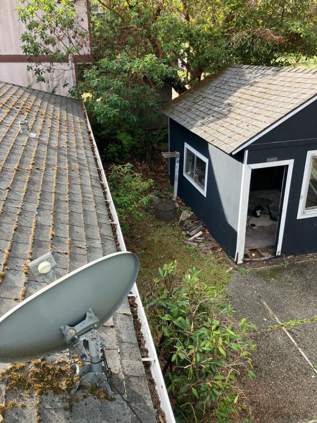 Roof cleaning service Green Lake, WA