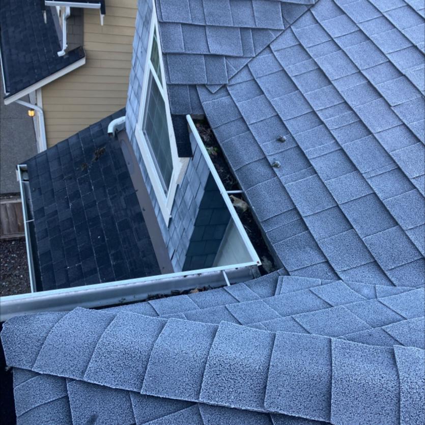Green Lake Roof Cleaning (2)
