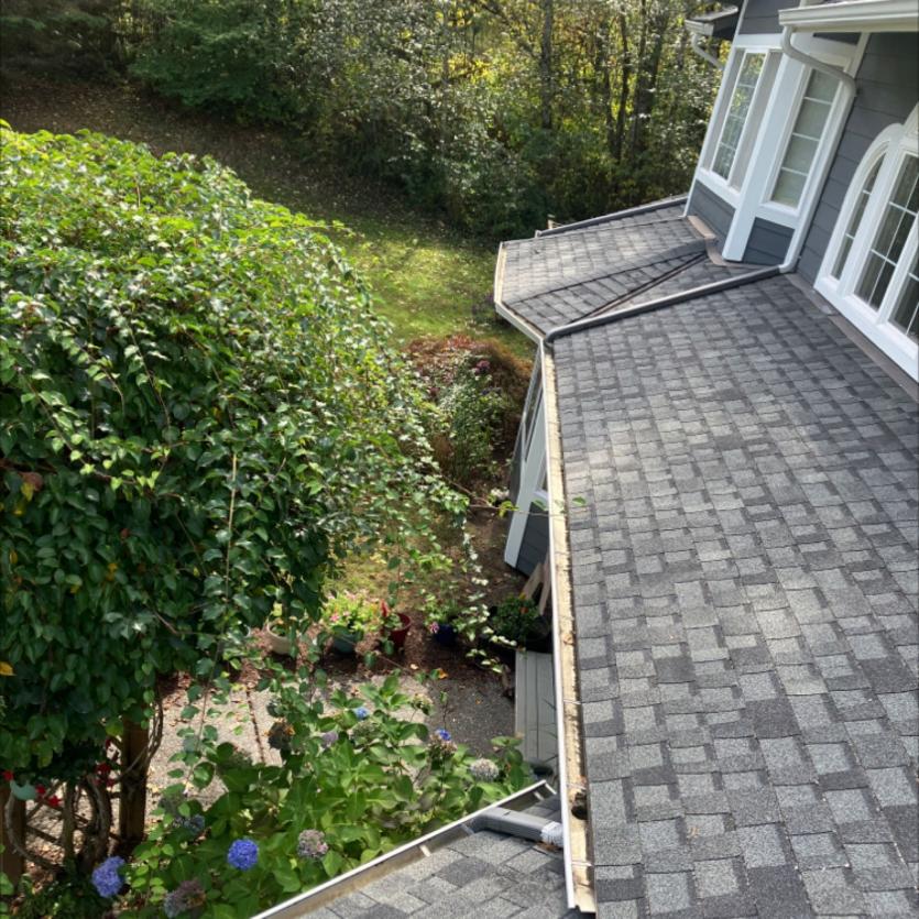 Roof cleaning work Green Lake neighborhood Seattle