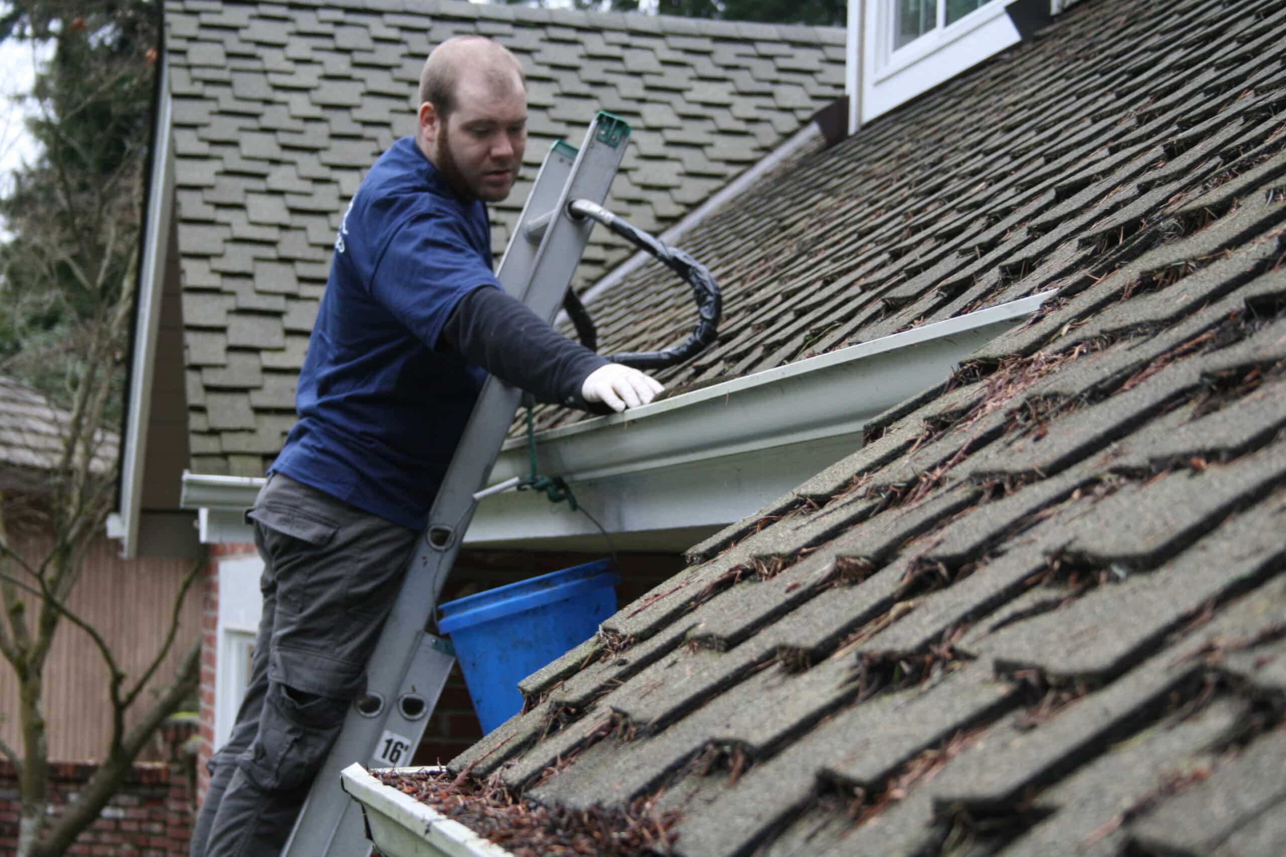 Cleaning gutter Greenwood neighborhood