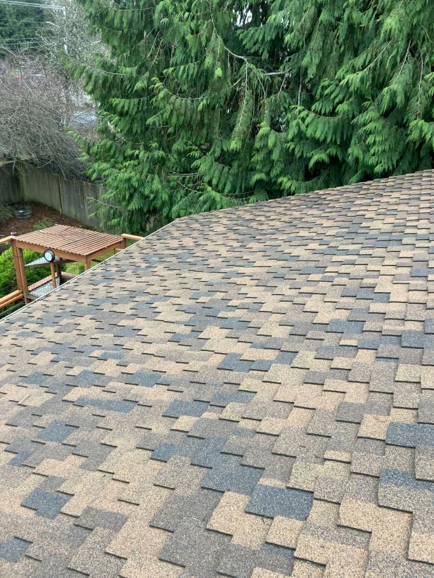 Roof cleaning Greenwood neighborhood